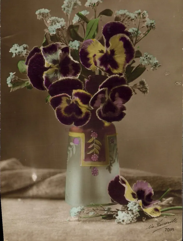 Arranjo de flores de lavanda e brancas — Lieu/Favoriite 7018 - Frente