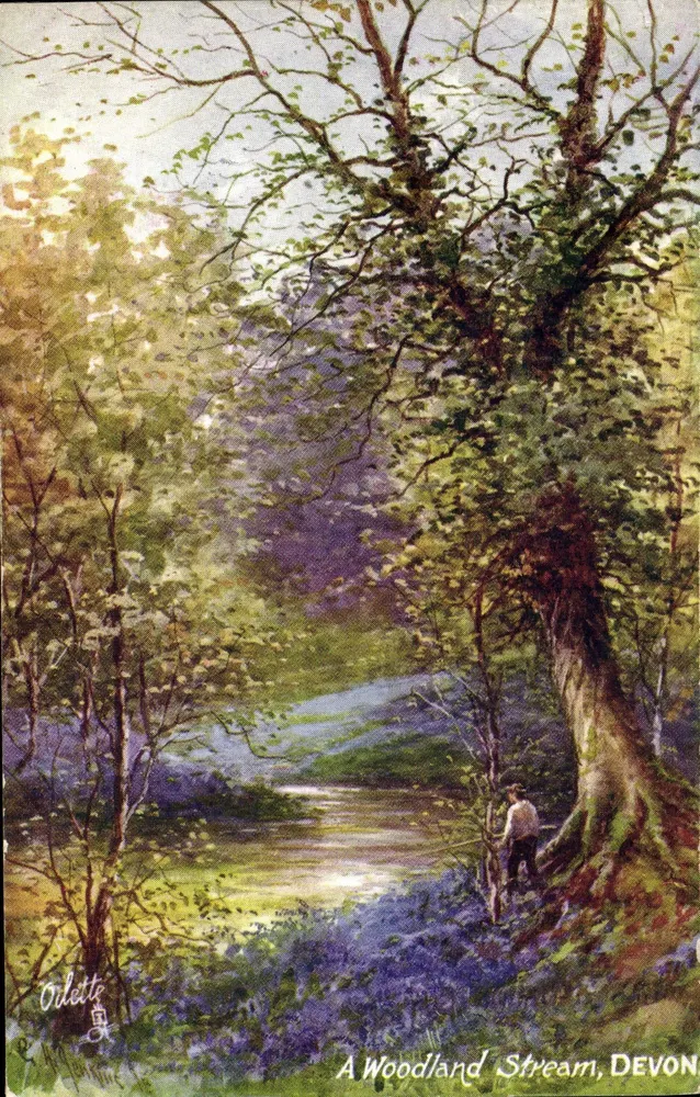 Um riacho da floresta, Devon — pintura de Orletty — editor Tuck's Post Card - Frente