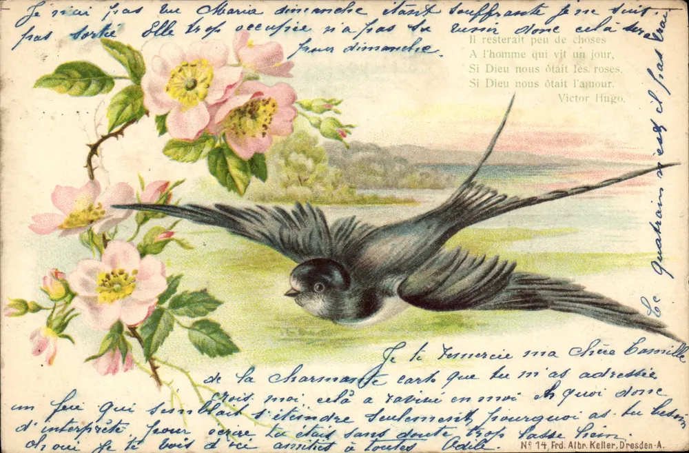 Ave e rosas — poema de Victor Hugo — Fr. Albr. Keller, Dresden-A. n° 14 - Frente