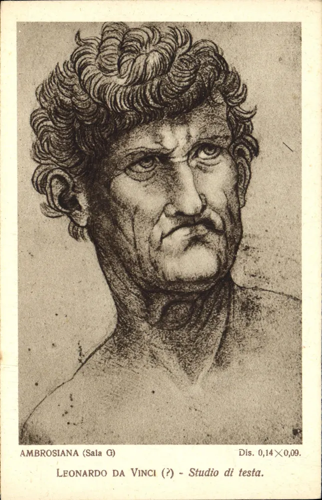 Leonardo da Vinci (?) — Estudos de cabeça — Ambrosiana (Sala G) - Frente