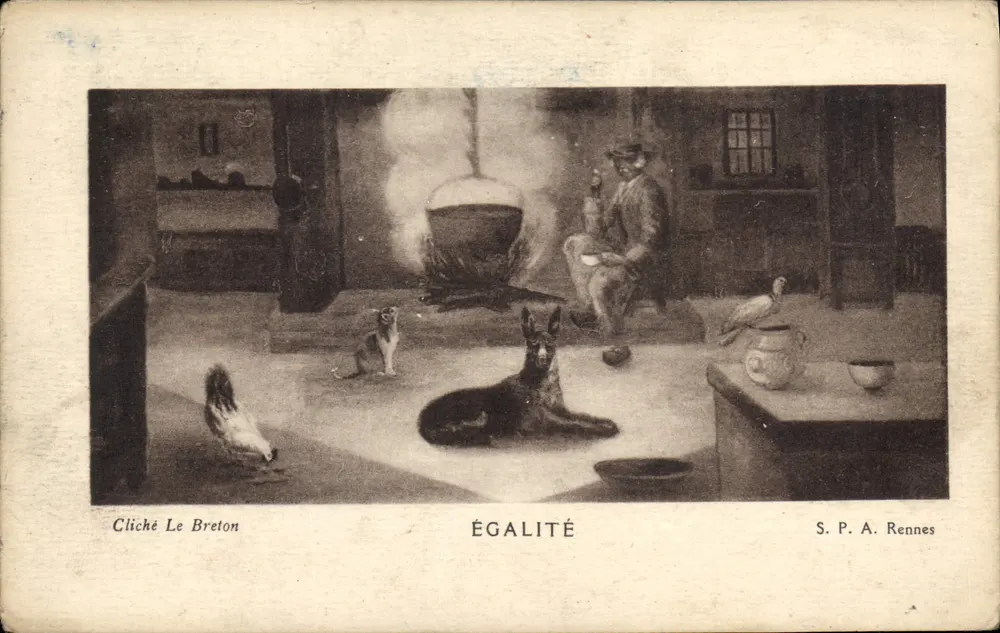 Igualdade — S.P.A. Rennes — série educativa - Frente