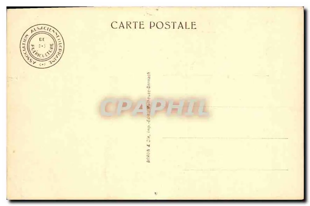 Enfant dormant — scène intime — éditeur F. Chardrain - Verso