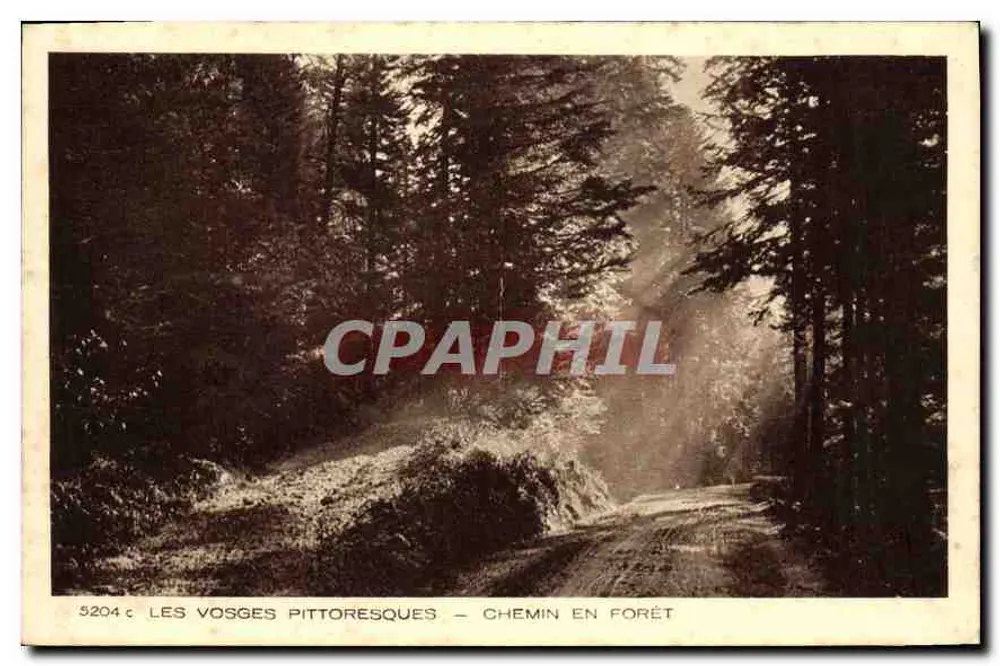 Les Vosges Pittoresques — Caminho na floresta — Coleção Braun & Cie, Dornach - Frente