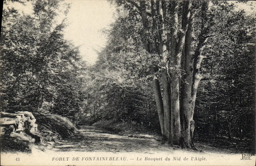 Wald von Fontainebleau — Der Bouquet des Adlerhorsts — JND Phot. - Vorderseite