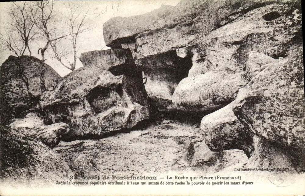 Forêt de Fontainebleau — La Roche qui Pleure (Franchard) — Künstlerische Sammlung LAM - Vorderseite