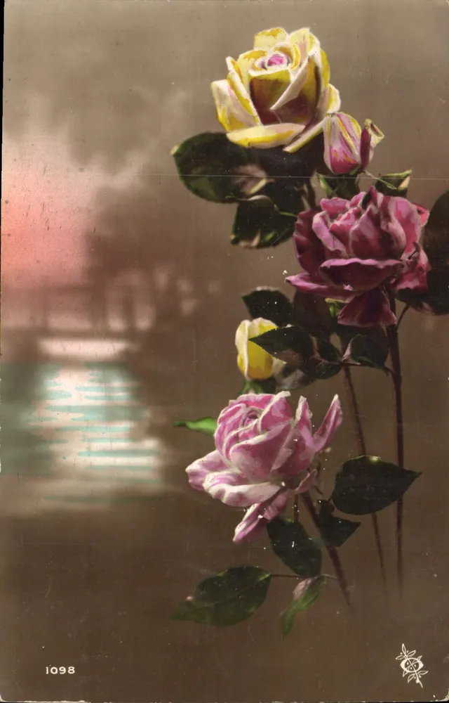 Rosas coloridas — cena de jardim — editor anônimo, n° de série 1098 - Frente