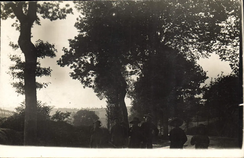 Groupe de personnes sous grands arbres — paysage rural — carte postale anonyme - Recto