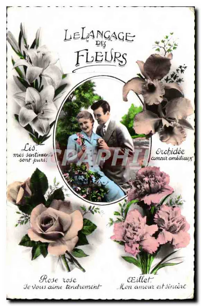 O idioma das flores — Carteira ilustrada com casal e flores simbólicas - Frente