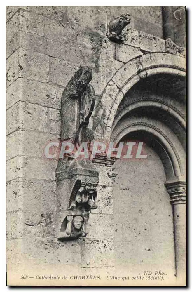 Kathedrale von CHARTRES — Das wache Esel (Detail) — ND Fotografie, Nr. 508 - Vorderseite