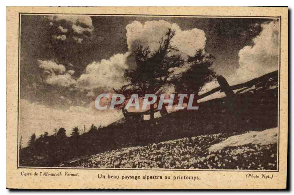 Almanach Vermot — Ein schöner alpiner Landschaft im Frühling — Photo Nyt. - Vorderseite