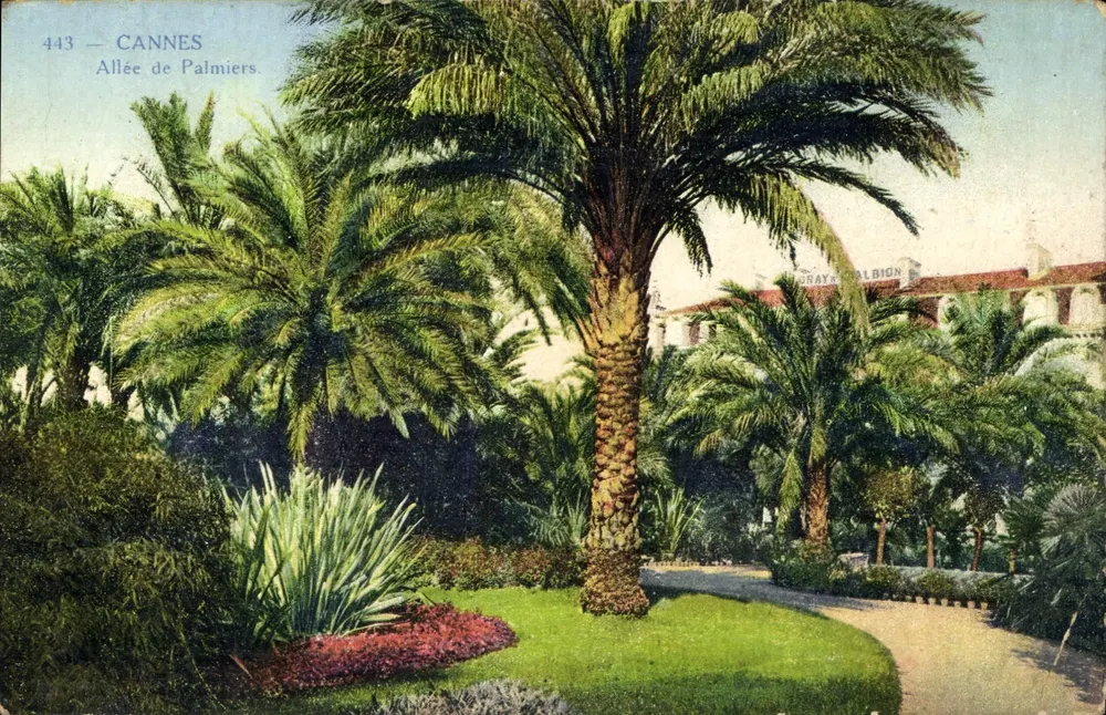 Cannes — Allée des Palmiers — Gray & Albion - Voorkant