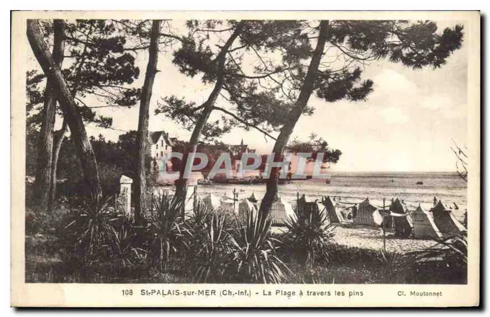 St-Palais-sur-Mer (Ch.-inf.) - Die Küste durch die Kiefern — Cl. Moutonnet, Nr. 108 - Vorderseite