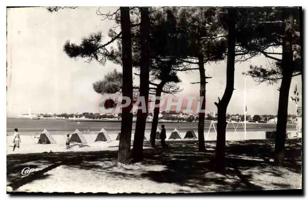 Strand durch die Kiefern — Saint-Georges-de-Didonne — Réal-Photo - Vorderseite