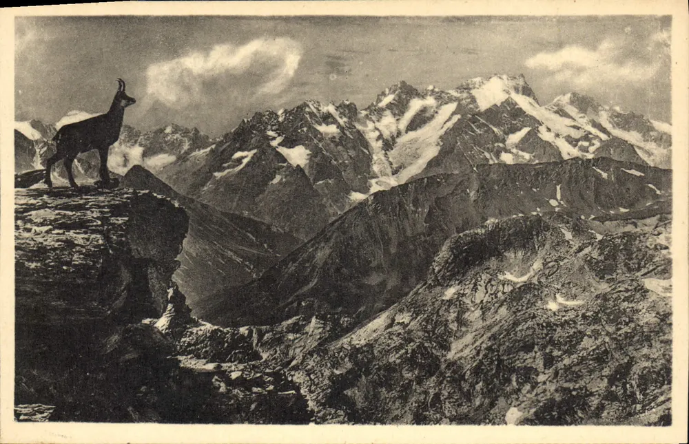 Chamois auf dem Berg — Das pittoreske Dauphiné — Verlag: Lept et Secourirs Reuils, Paris - Vorderseite