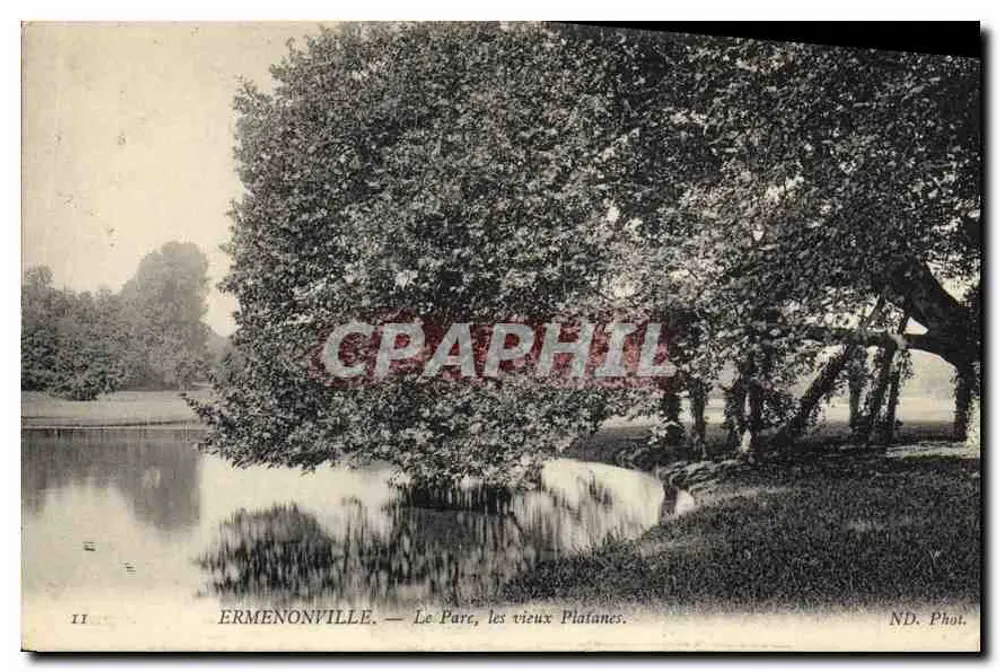 Ermenonville — Der Park, die alten Platane — ND. Foto. - Vorderseite