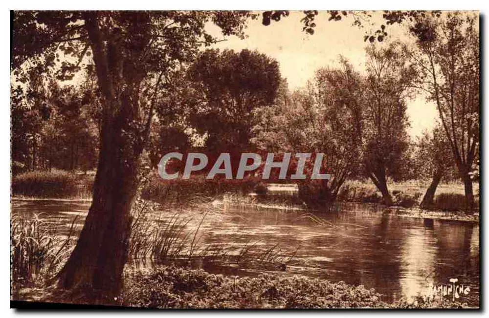 ला शारंत एंगूलेम में — वर्स रॉबिनसन — एडिशन आर्टिस्टिक रेमी बर्जिवन - आगे