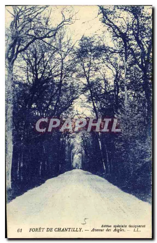 Floresta de Chantilly — Avenida dos Falcões — Edição especial Guiqueret - Frente