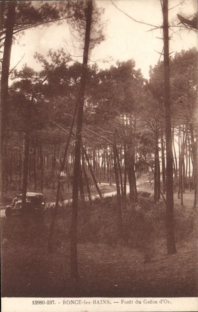 Ronce-les-Bains — Bos van het Galon d'Or — Uitgever Raymond Bergevin, n° 15980-597 - Voorkant