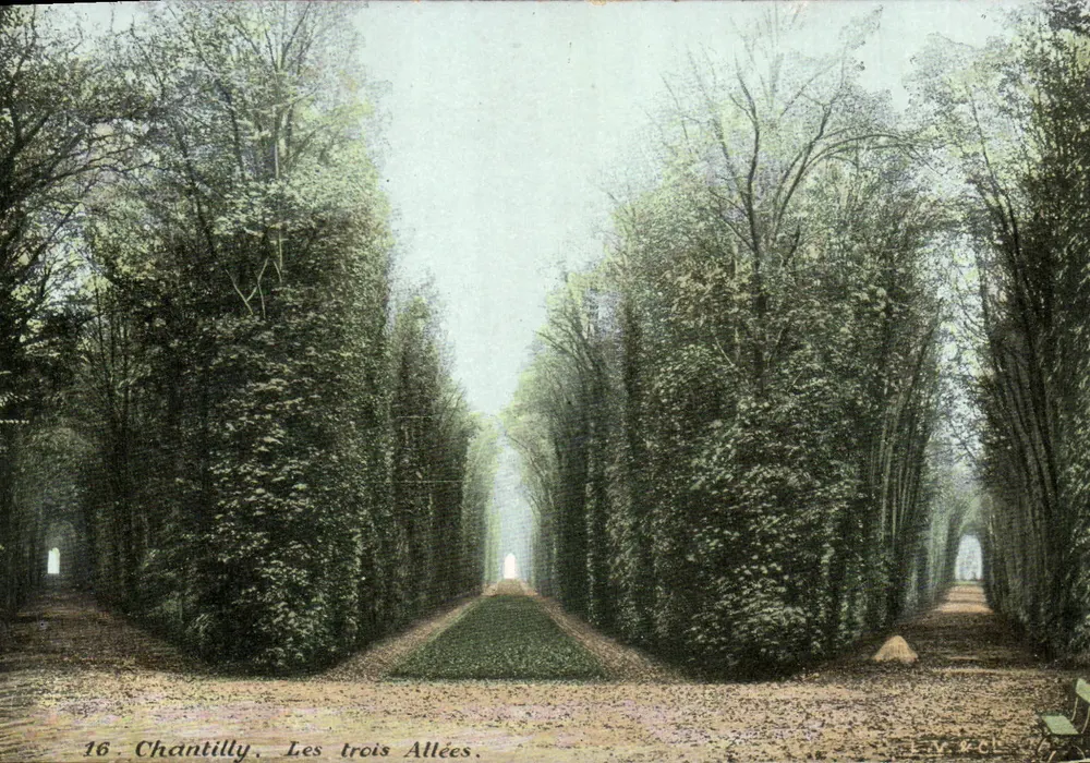 Chantilly, As três Avenues — Editor Sévrand, n°16 - Frente