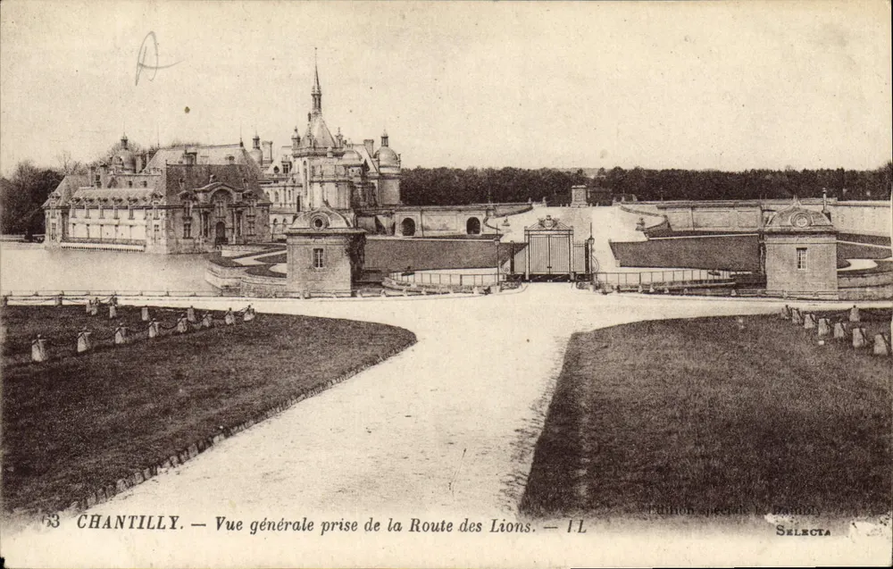 Chantilly — Allgemeiner Blick von der Route des Lions — Sonderausgabe le Damiot, Selecta - Vorderseite