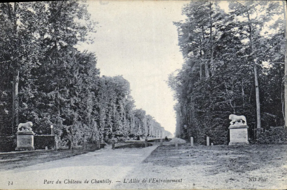 Schlosspark von Chantilly — Die Trainingsallee — ND Phot - Vorderseite