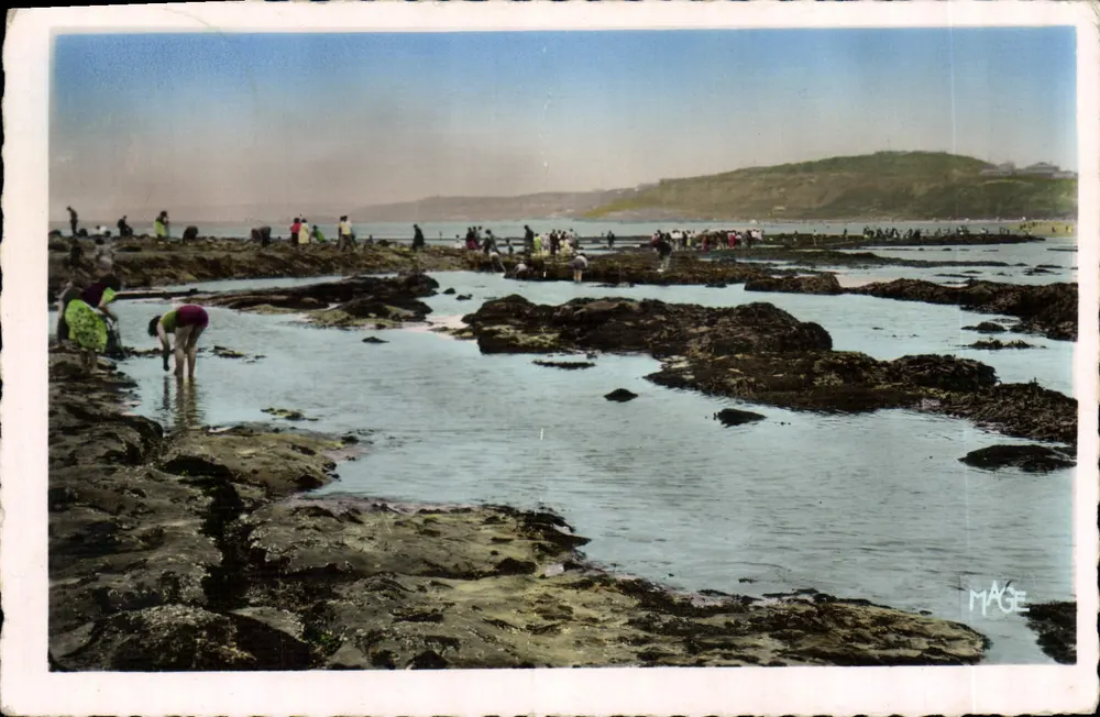 A Praia com maré baixa — Le Portel (P.-de-C.) — Editor RENART, Paris - Frente