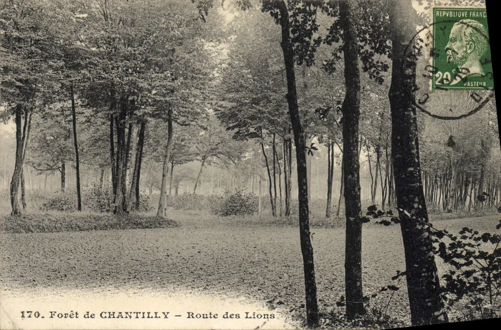 Floresta de Chantilly — Rua dos Leões — editor Pasteur, n° 170 - Frente