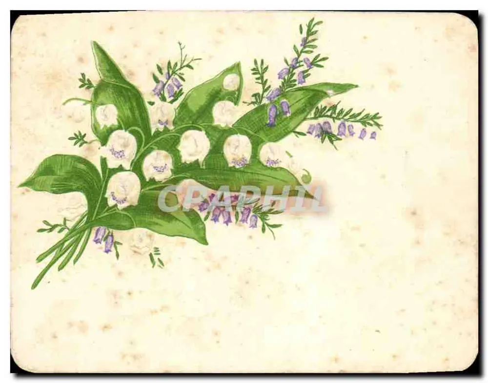 Arranjo de flores de muguet e campanulas — ilustração - Frente