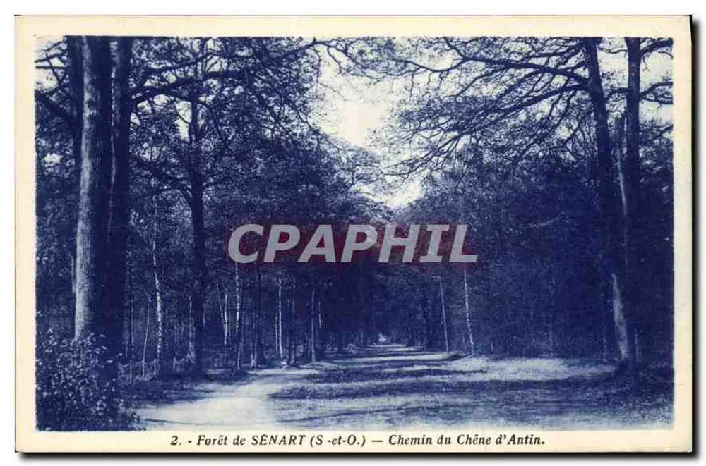 Wald von SENART (S-et-O) — Weg des Eichens von Antin — Photo-Edition III, Paris - Vorderseite