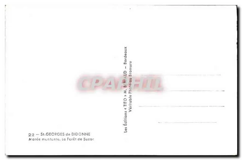 Stigende Flut, La Forêt de Suzac — Editions « TITO » M. B. AUD — Bordeaux - Rückseite