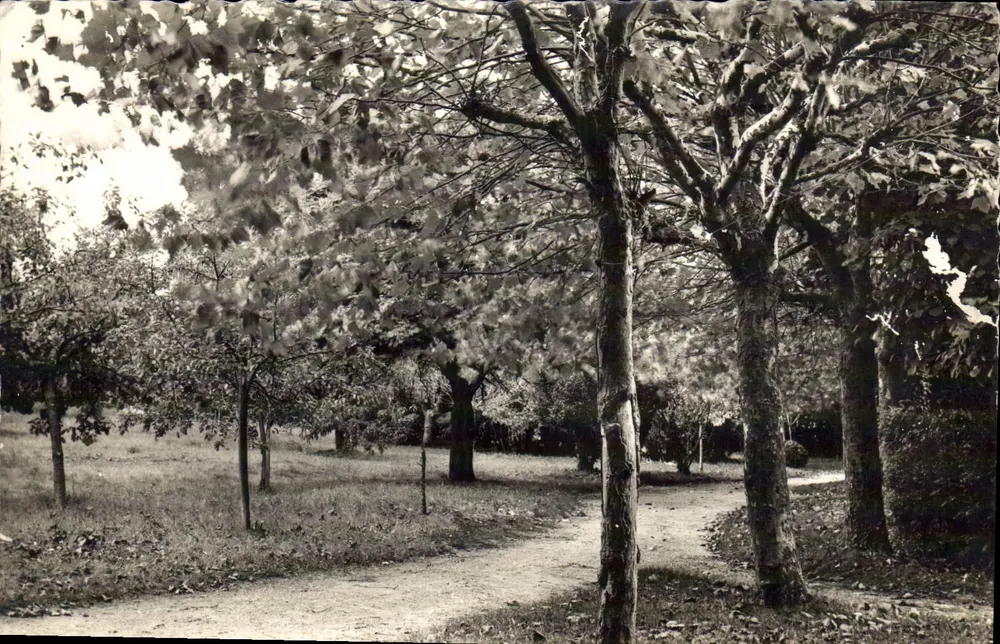 Jardim de árvores frutíferas — Saint-Palais-sur-Mer - Frente