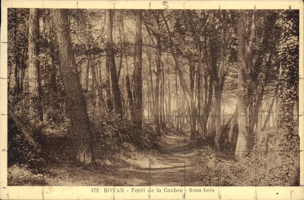 ROYAN - Bos van de Coubre - Onder het bos - Voorkant