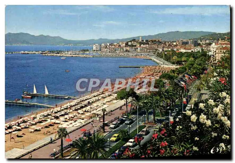 Cannes — Croisette e suas flores — Éditions Marque d'Époque - Frente