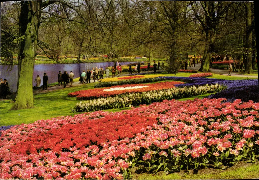 Ogród tulipanów w Amsterdamie — B1 - Awers