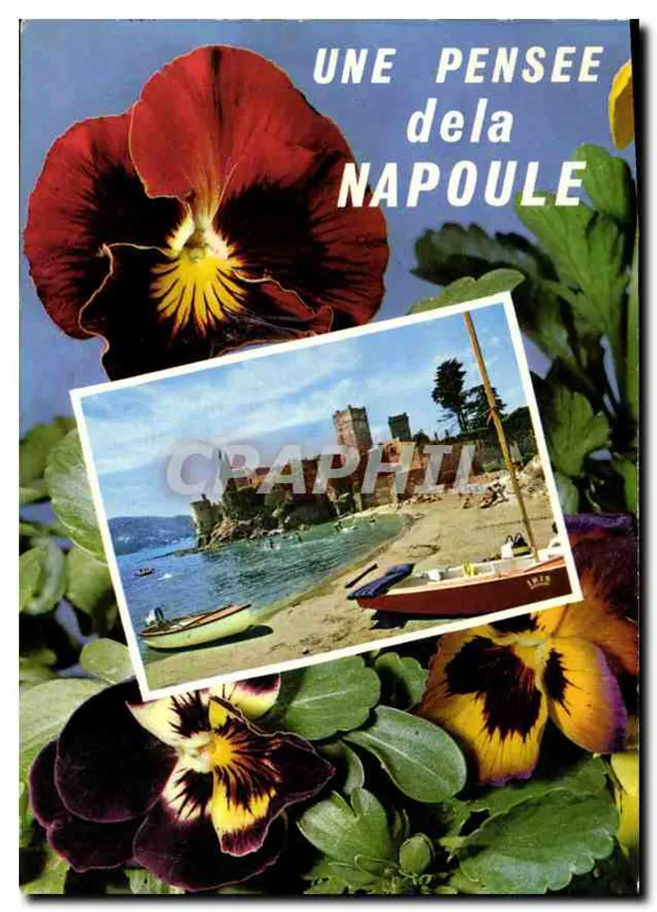 Poisson rouge — Une pensée de la Napoloule — Les Éditions MAR - Recto