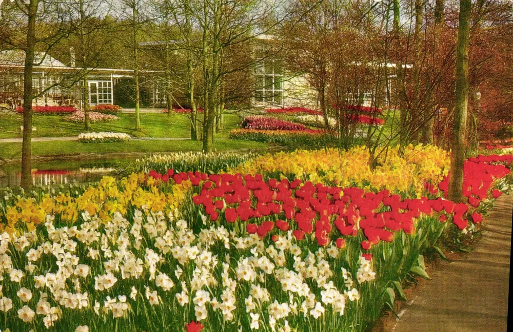 Garten des Keukenhof — Lisse, Holland — Verlag Planet a. L. Blok - Vorderseite