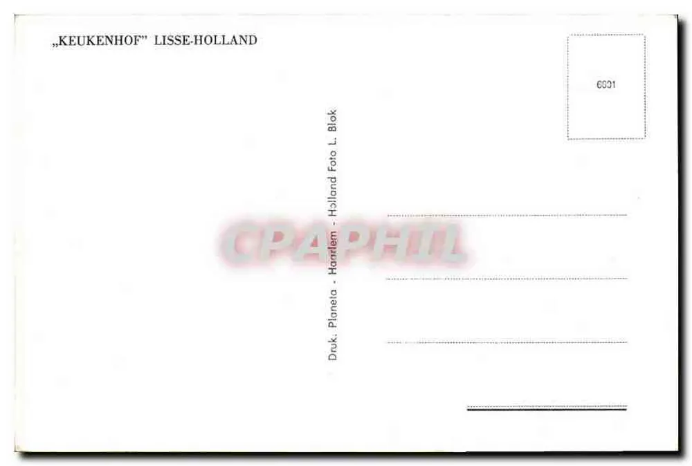 Garten des Keukenhof — Lisse, Niederlande — Verlag Planeta, Nr. 6631 - Rückseite