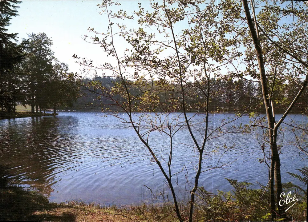 Lac des Grands Bois — Landes — Verleger Elcée, Nr. 6515 - Vorderseite