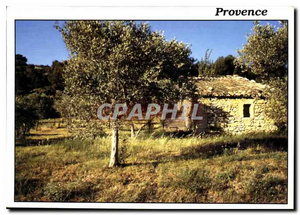 Provença — Casa de pedra e oliveiras — Reflets de Provença, Foto PAILHARES - Frente