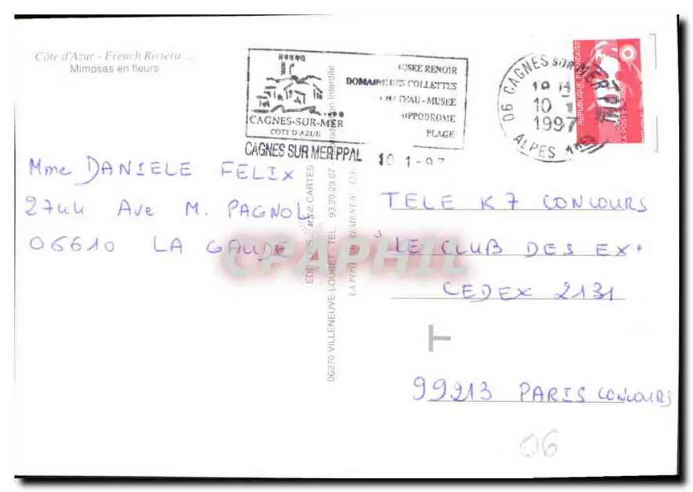 Côte d'Azur — Blühender Mimosa — Éditions Loubet, n° 123 - Rückseite