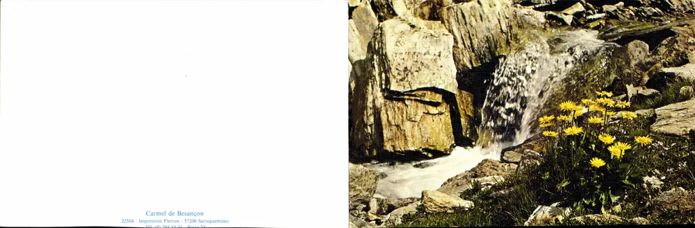 Cachoeira e flores amarelas — Carmel de Besançon — Impressão Pierron - Frente