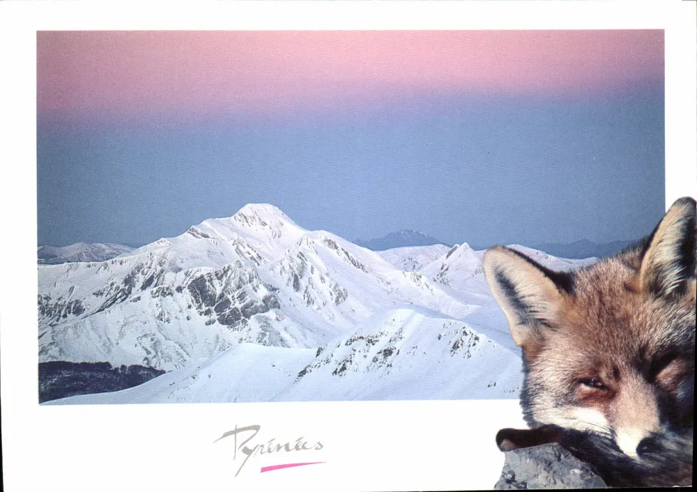 Pirineus — paisagem nevada com raposa — editor Gypaète - Frente