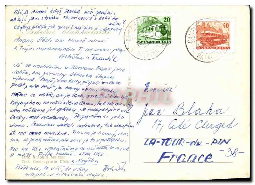Arranjo de flores coloridas — vaso verde - Verso