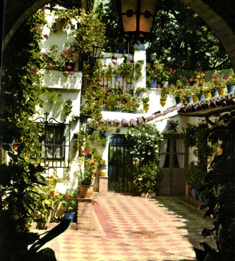 Pátio andaluz — típico — Éditions Ro-Foto, n° 453 - Frente