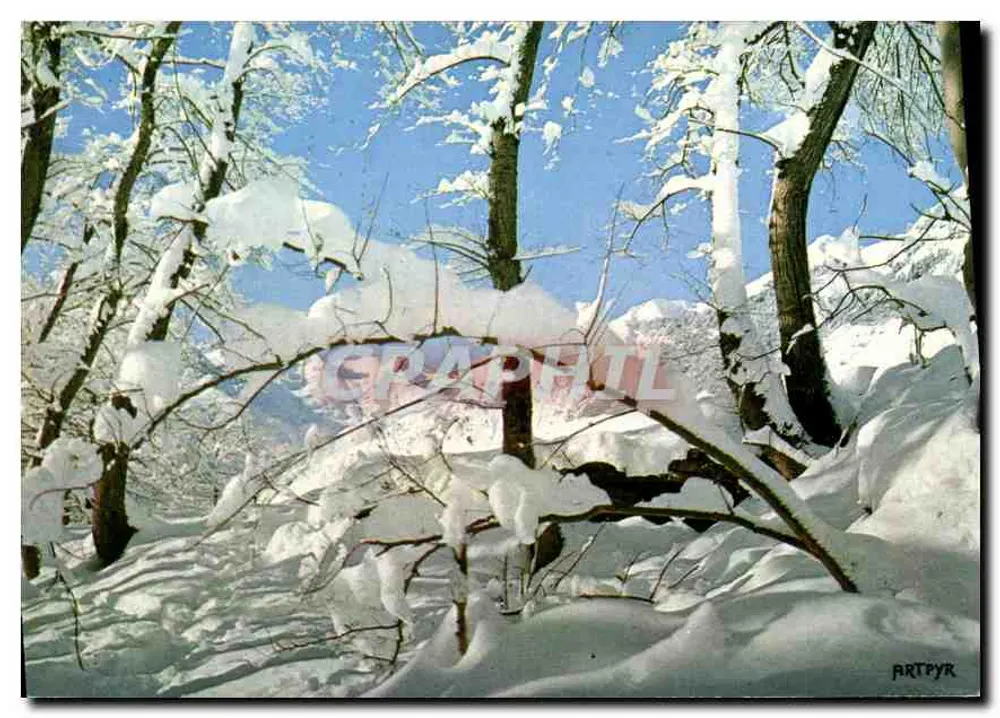 बर्फीले जंगल — टूलूज के स्की स्टेशन — आर्टपायर के फोटो, श्रृंखला K. 513 - आगे