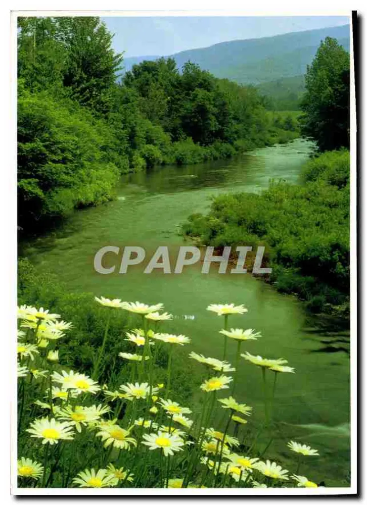 Rio cercado de flores de margarida — vista natural — Éditions Photos-Laser, n° 1361 - Frente