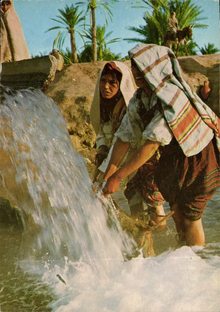 सूर्य के नीचे बेदूइन महिलाएं — तुनीशिया के दक्षिण — सोसाइटे कार्थेक, तुनीस - आगे