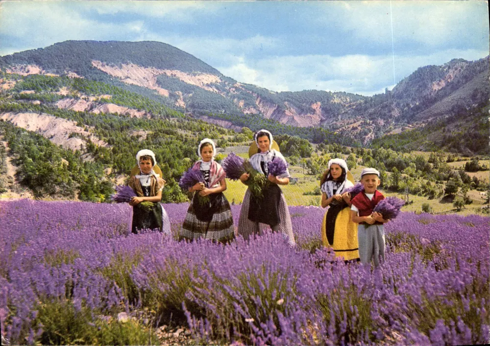 Châtillan - em Diois — colheita de lavanda — Edições Léon Bardon, n° F.30111 - Frente