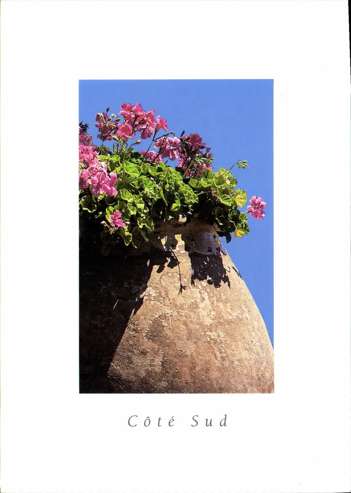Flores de gerânios — Côté Sud — Éditions Blanche - Frente