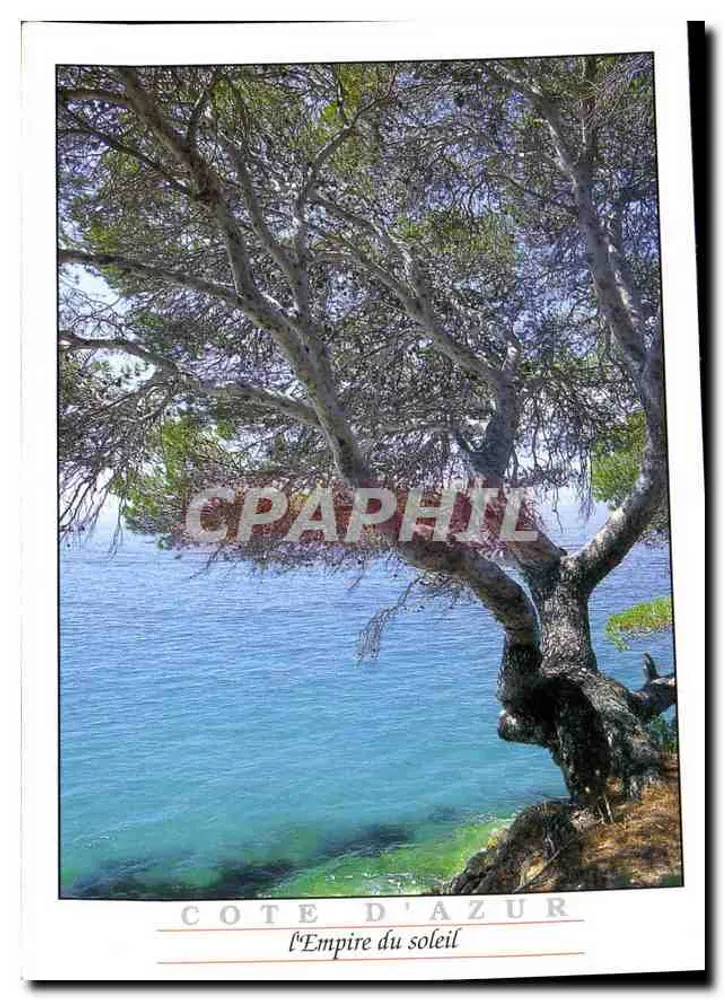 Côte d'Azur — o Império do Sol - Frente